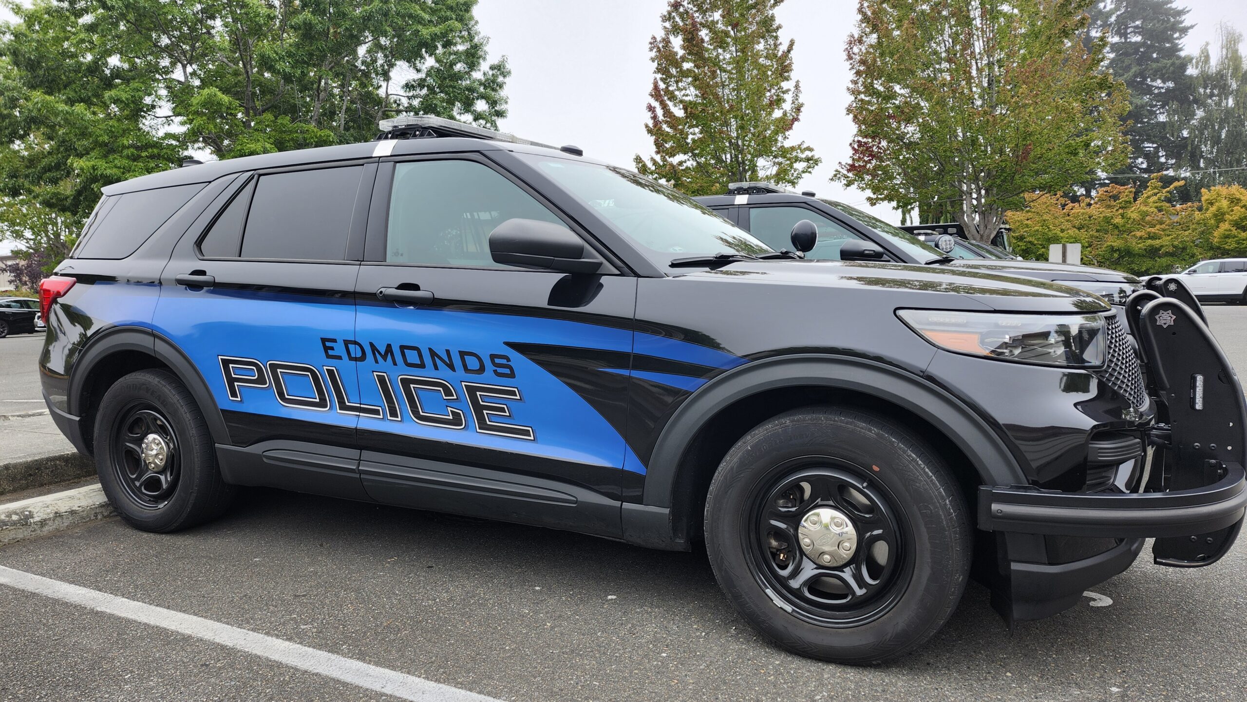 Edmonds Police Blotter Highlights March 2-8