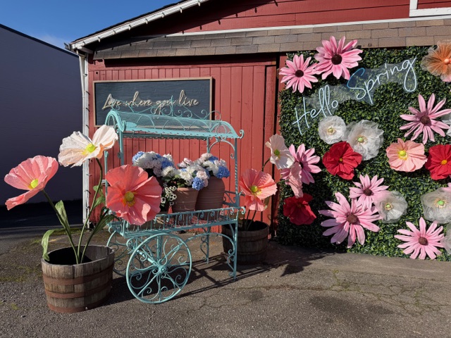 Edmonds Residents Enjoy Tuesday Activities